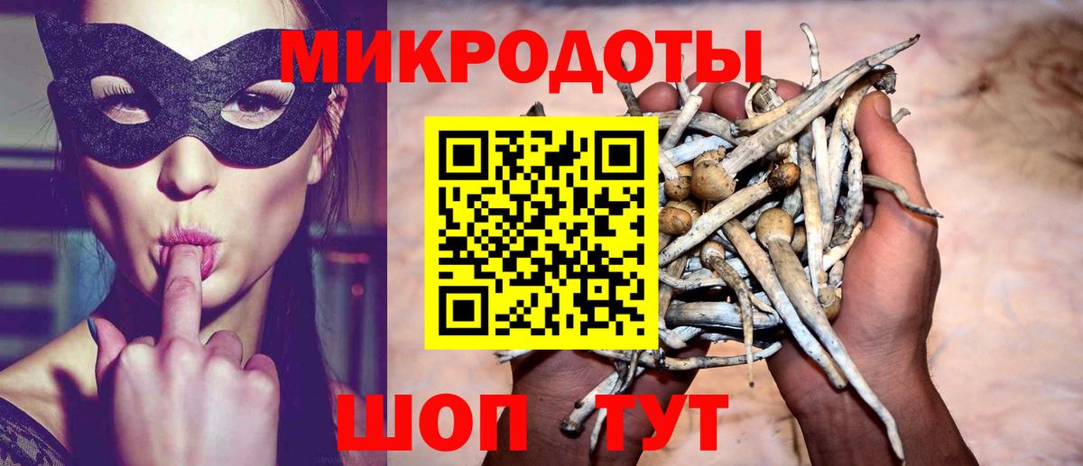 Галлюциногенные грибы мухоморы  Вход с VPN  Осинники 
