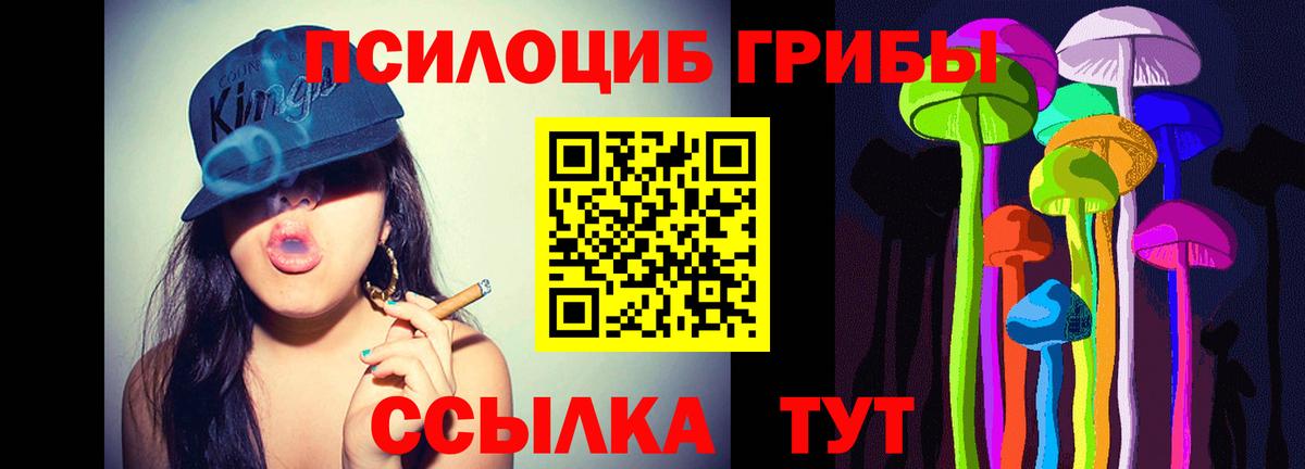 Псилоцибиновые грибы Magic Shrooms Осинники