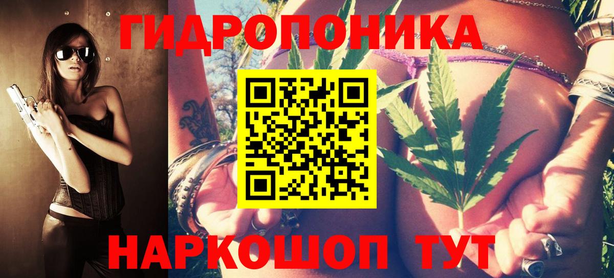 Каннабис AK-47  Вход с VPN  Каннабис THC 21%  Марихуана ГИДРОПОН  Осинники 